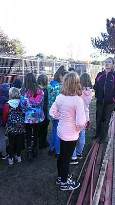 Grafika #4: Wizyta w Schronisku dla Bezdomnych Zwierząt OTOZ Animals w Dąbrówce