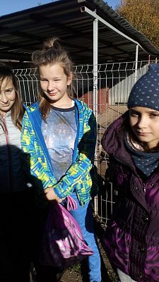 Grafika #6: Wizyta w Schronisku dla Bezdomnych Zwierząt OTOZ Animals w Dąbrówce