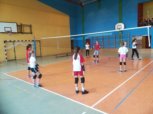 Grafika #8: Turniej minipiłki siatkowej z okazji 100 - lecia odzyskania przez Polskę Niepodległości.