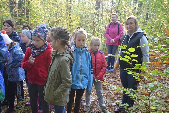 Grafika #1: Ścieżka ekologiczna Uroczysko w Drętowie