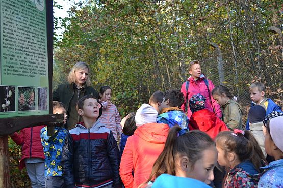 Grafika #3: Ścieżka ekologiczna Uroczysko w Drętowie