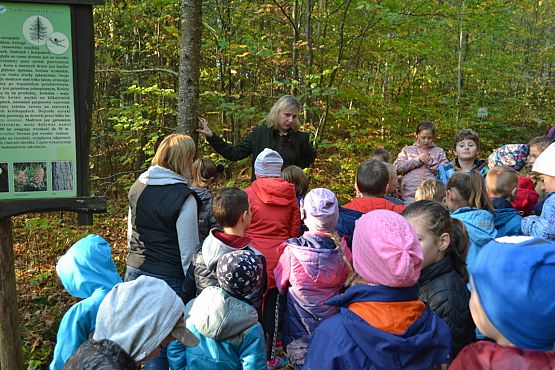 Grafika #4: Ścieżka ekologiczna Uroczysko w Drętowie