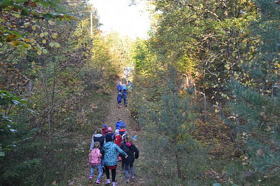 Grafika #6: Ścieżka ekologiczna Uroczysko w Drętowie