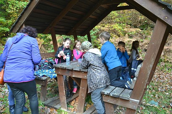 Grafika #24: Ścieżka ekologiczna Uroczysko w Drętowie