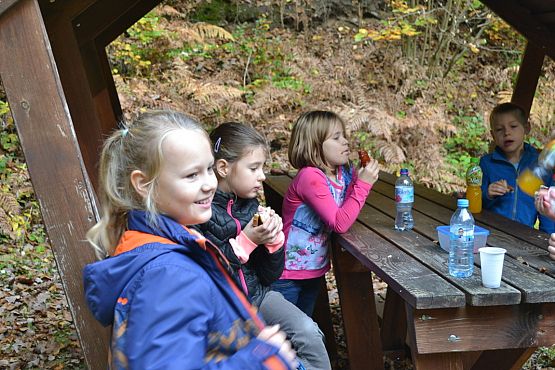 Grafika #25: Ścieżka ekologiczna Uroczysko w Drętowie