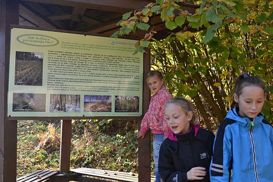 Grafika #27: Ścieżka ekologiczna Uroczysko w Drętowie