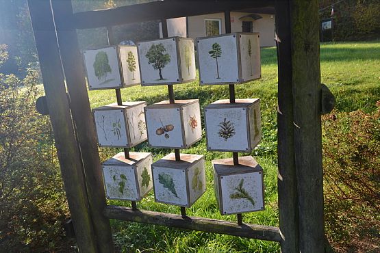 Grafika #38: Ścieżka ekologiczna Uroczysko w Drętowie