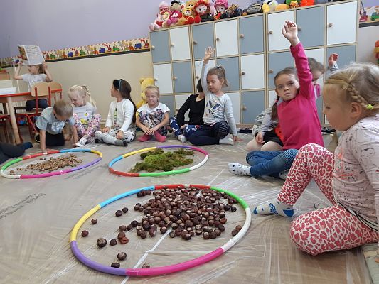 Grafika #0: Jesienna ścieżka sensoryczna