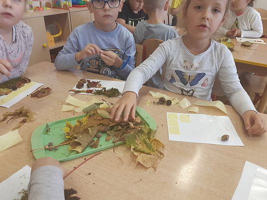 Grafika #7: Jesienna ścieżka sensoryczna