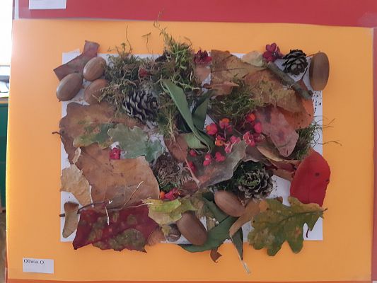 Grafika #11: Jesienna ścieżka sensoryczna