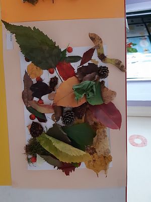 Grafika #12: Jesienna ścieżka sensoryczna