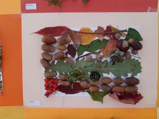 Grafika #13: Jesienna ścieżka sensoryczna