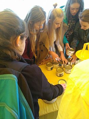 Grafika #6: Piknik Naukowy w Lęborku