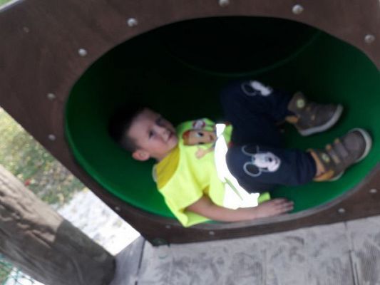 Grafika #11: PIERWSZA WSPÓLNA WYCIECZKA MINIONKÓW