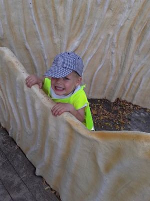 Grafika #15: PIERWSZA WSPÓLNA WYCIECZKA MINIONKÓW