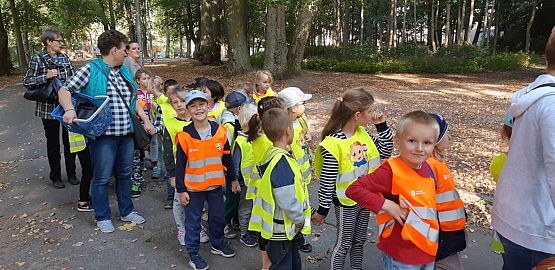 Grafika #0: Przedszkolaki szukają jesieni