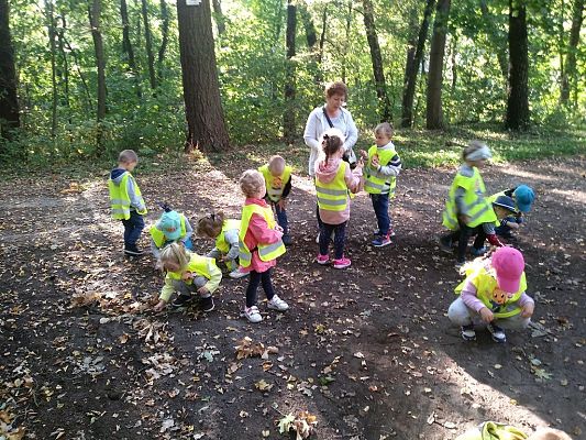 Grafika #17: Przedszkolaki szukają jesieni