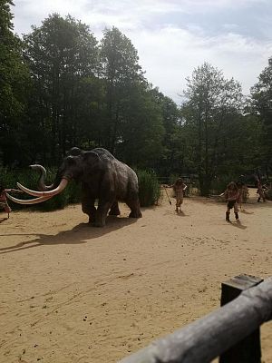 Grafika #0: Wycieczka do Parku Ewolucji w Sławutówku