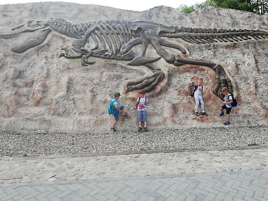 Grafika #1: Wycieczka do Parku Ewolucji w Sławutówku