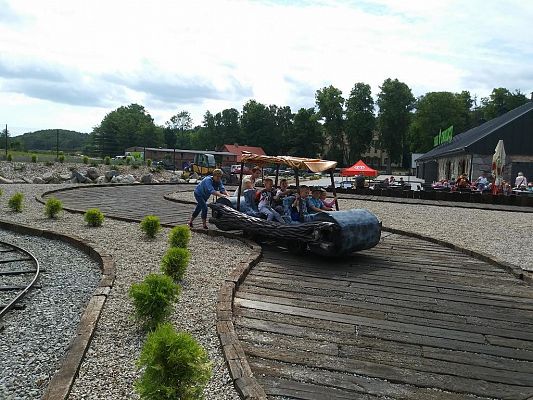 Grafika #21: Wycieczka do Parku Ewolucji w Sławutówku