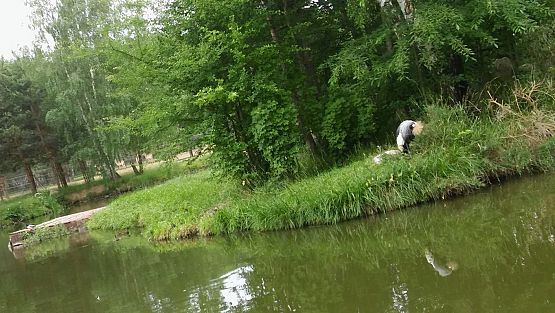 Grafika #18: Wycieczka do Doliny Charlotty klas trzecich