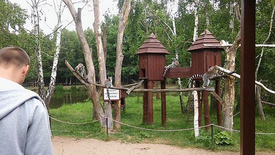 Grafika #25: Wycieczka do Doliny Charlotty klas trzecich