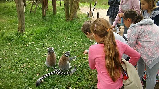 Grafika #15: Wycieczka do Doliny Charlotty klas trzecich