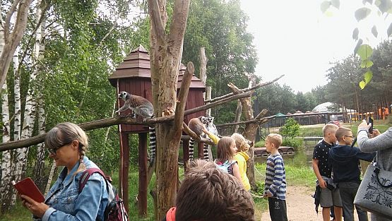 Grafika #10: Wycieczka do Doliny Charlotty klas trzecich