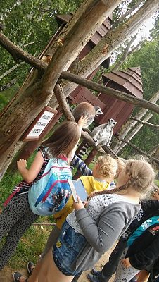 Grafika #16: Wycieczka do Doliny Charlotty klas trzecich