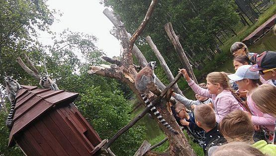 Grafika #26: Wycieczka do Doliny Charlotty klas trzecich