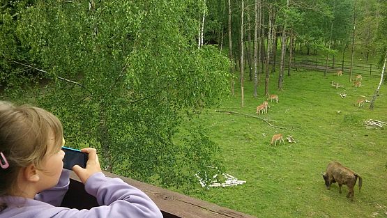 Grafika #21: Wycieczka do Doliny Charlotty klas trzecich