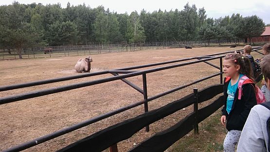 Grafika #30: Wycieczka do Doliny Charlotty klas trzecich