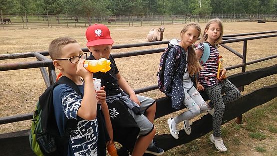 Grafika #31: Wycieczka do Doliny Charlotty klas trzecich