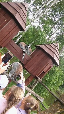 Grafika #20: Wycieczka do Doliny Charlotty klas trzecich