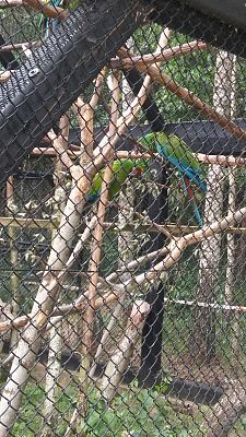 Grafika #32: Wycieczka do Doliny Charlotty klas trzecich