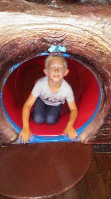 Grafika #2: Wycieczka do Amazonii