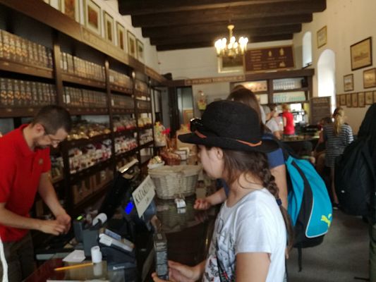 Grafika #19: Nagrodowa wycieczka do Torunia dla uczniów osiągających bardzo dobre wyniki w nauce i zachowaniu.