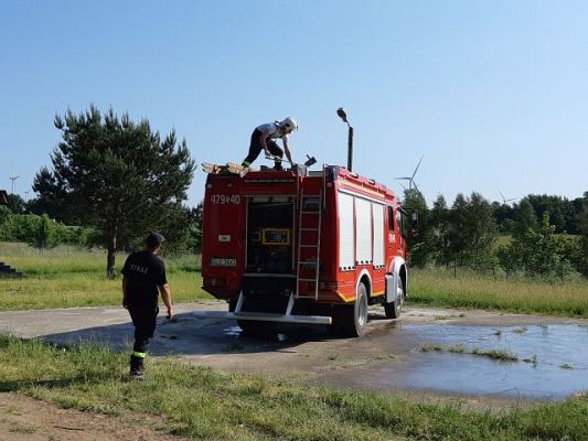 Grafika #26: "Pszczółki" i "Smerfy" obchodzą Międzynarodowy Dzień Dziecka