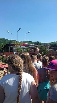 Grafika #6: Wizyta w Schronisku dla Bezdomnych Zwierząt OTOZ Animals w Dąbrówce