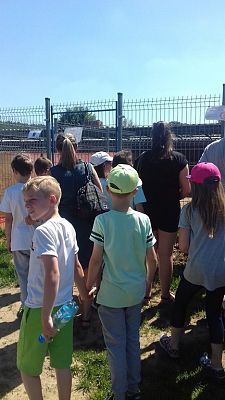 Grafika #9: Wizyta w Schronisku dla Bezdomnych Zwierząt OTOZ Animals w Dąbrówce