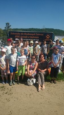 Grafika #1: Wizyta w Schronisku dla Bezdomnych Zwierząt OTOZ Animals w Dąbrówce