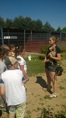 Grafika #15: Wizyta w Schronisku dla Bezdomnych Zwierząt OTOZ Animals w Dąbrówce