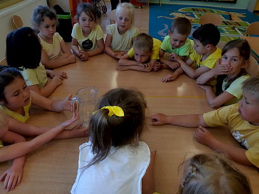 Grafika #2: Dzień żółty u "Pszczółek"