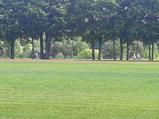 Grafika #6: SPRINTEM DO MARATONU