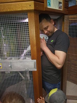 Grafika #16: Przedszkolaki w zoo egzotycznym