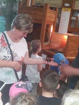 Grafika #21: Przedszkolaki w zoo egzotycznym