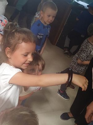 Grafika #17: Przedszkolaki w zoo egzotycznym