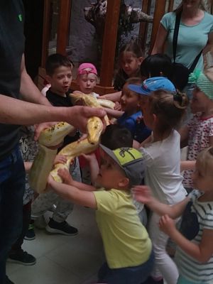 Grafika #18: Przedszkolaki w zoo egzotycznym