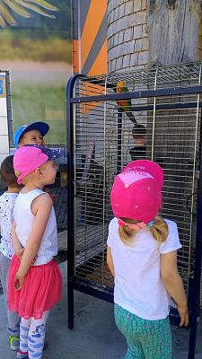 Grafika #2: Przedszkolaki w zoo egzotycznym