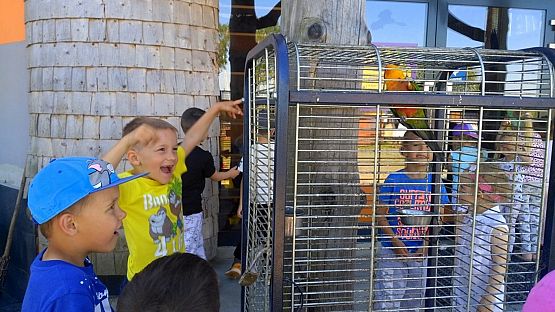 Grafika #3: Przedszkolaki w zoo egzotycznym